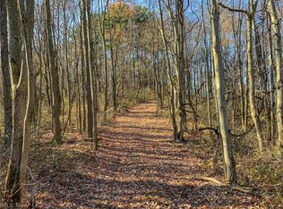 Mantua Rd, Cambridge, OH 43725