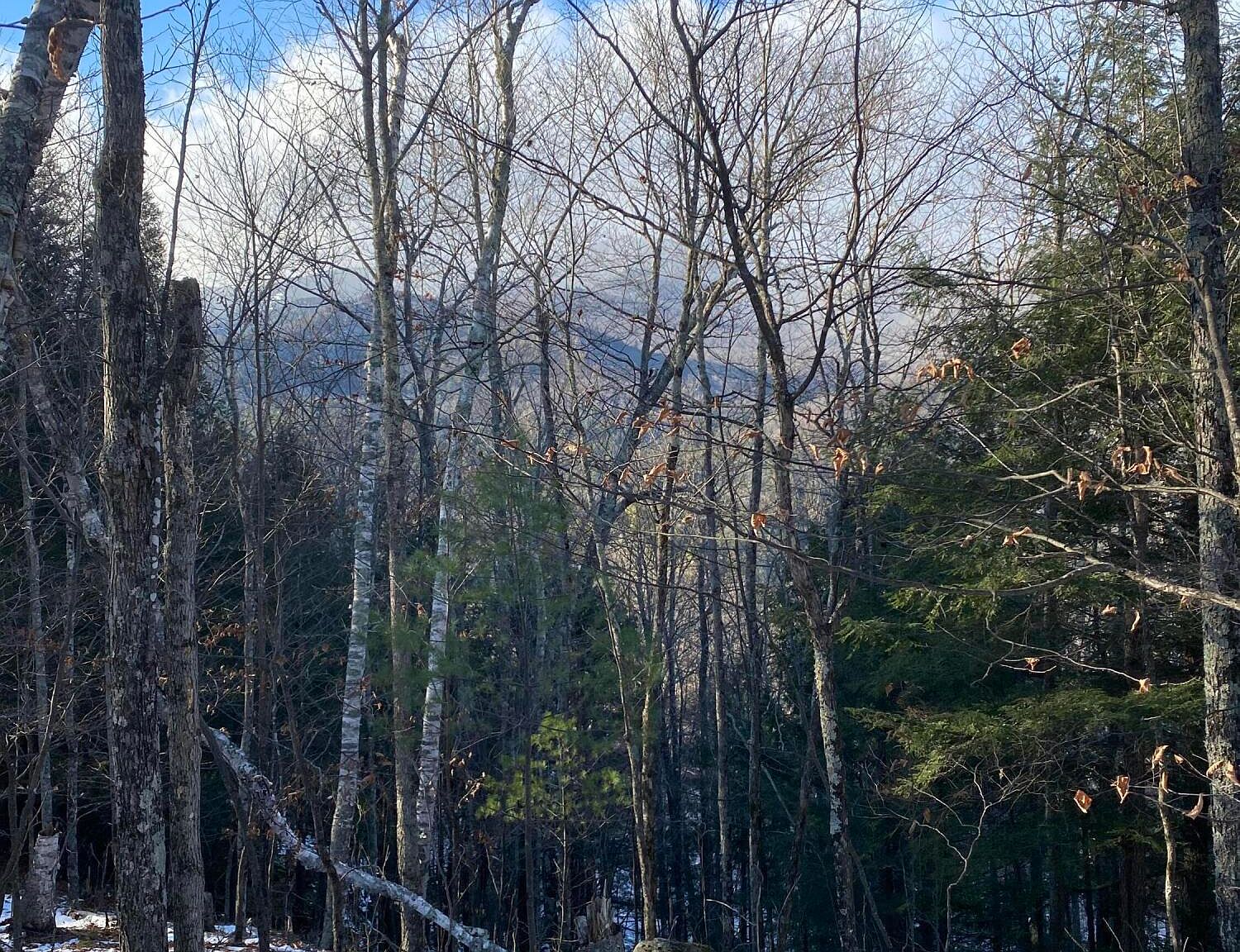 Scriver Ln, New Russia, NY 12964 MLS 200952 Zillow