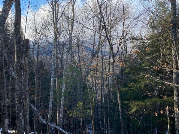 Scriver Ln, New Russia, NY 12964