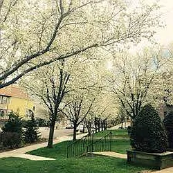 Rented by RealTegrity NY LLC