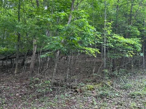 1 White Eagle Rd, Hiawassee, GA 30546