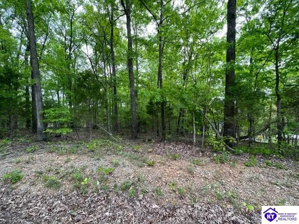 120 Bluegill Ave, Falls Of Rough, KY 40119