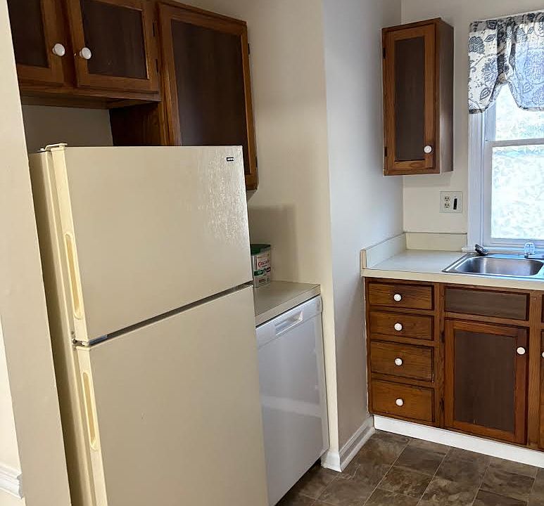kitchen with dishwasher and electric appliances