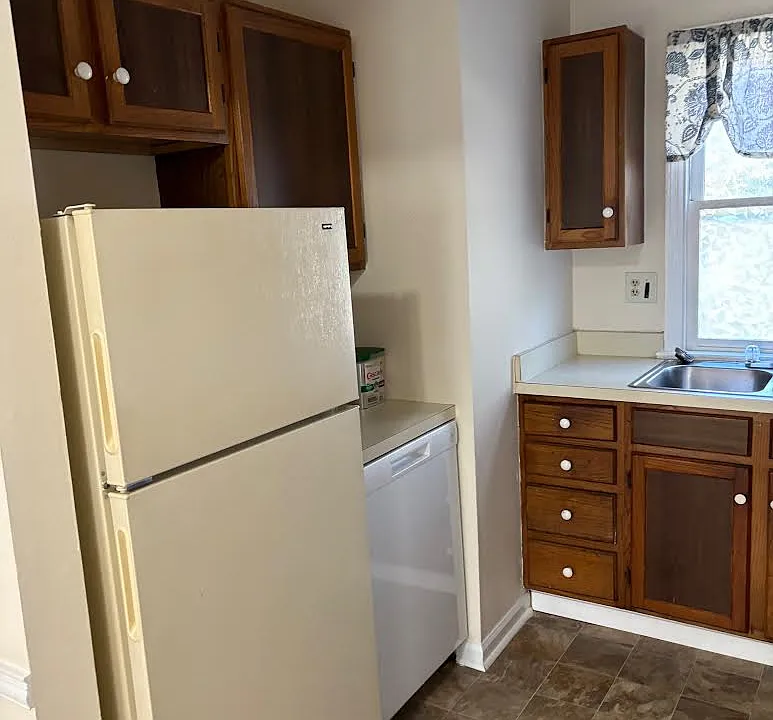 kitchen with dishwasher and electric appliances