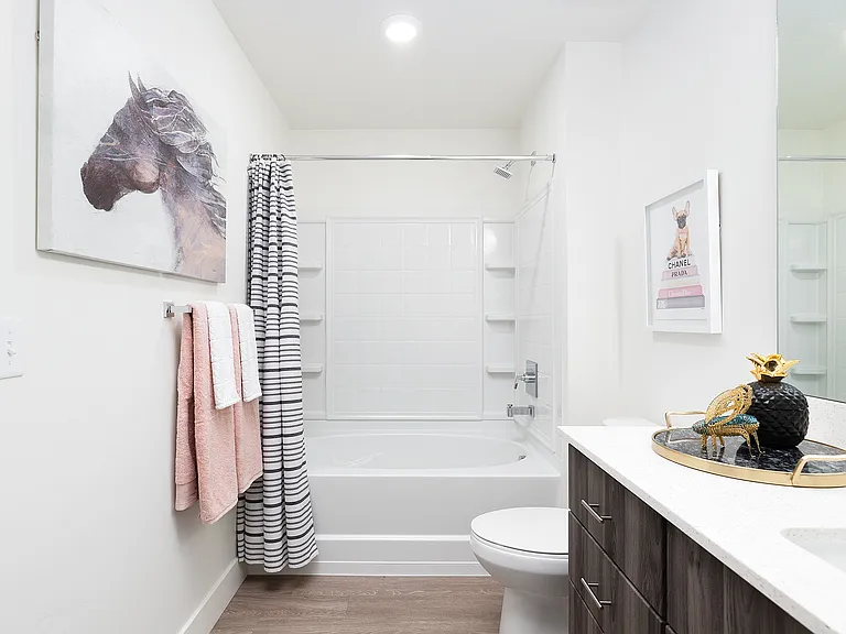 Model Bathroom