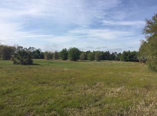 215 Guise Rd, Osteen, FL 32764