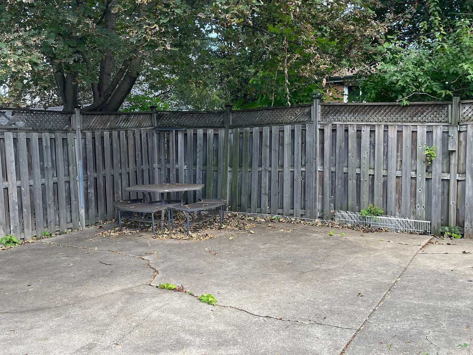 3 bed, $2,950 — Photo 4