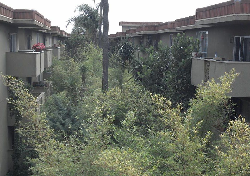 Beautiful garden community
