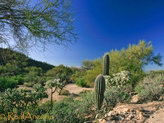 2nd image of 13902 N Dove Canyon Pass