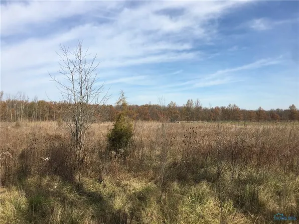 20465 Kiser Rd, Defiance, OH 43512