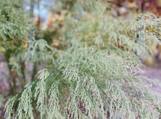 0 Hidden Highlands Ct LOT 83, Mc Ewen, TN 37101