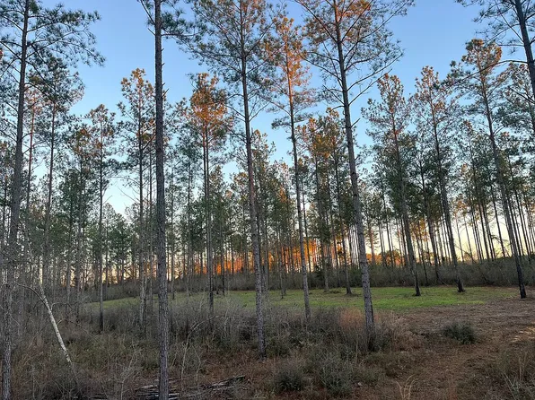 0 Lindsey Bridge Rd, Andalusia, AL 36420