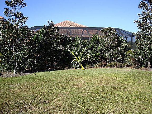 BACK  YARD AREA