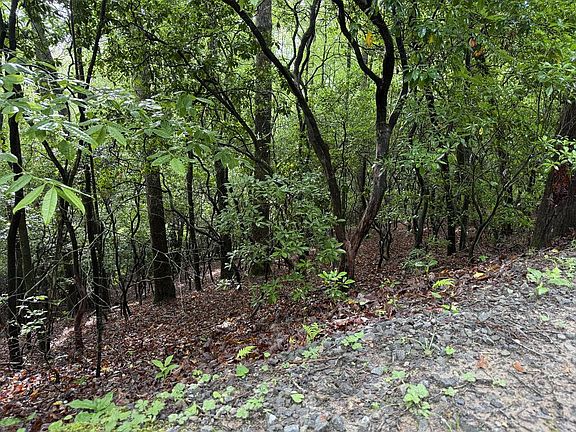 5th image of LOT 28 Atoah Loop
