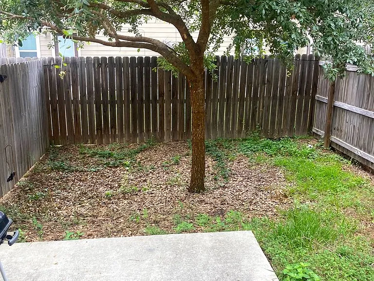 6335 Melanzane Ave — Photo 11