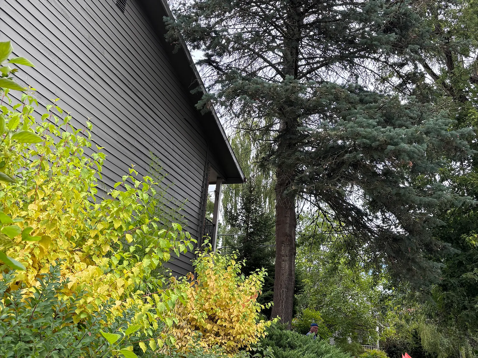 2 bed, 800 sqft, $1,500 — Photo 3