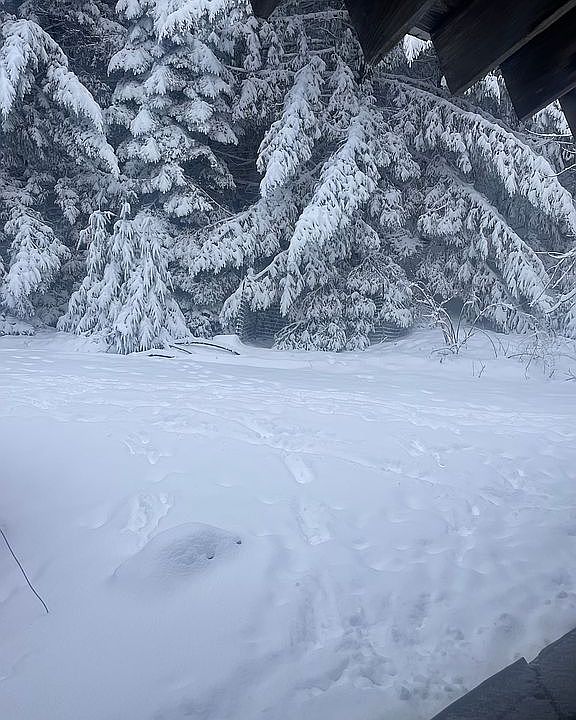 1st image of 12575 Buck Mountain Rd