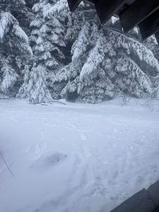 12575 Buck Mountain Rd, Bridgeville, CA, 95526