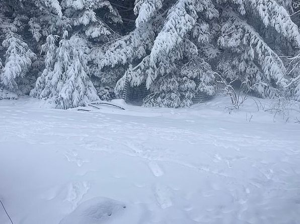 12575 Buck Mountain Rd