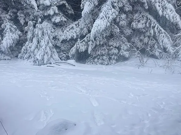 12575 Buck Mountain Rd, Bridgeville, CA 95526