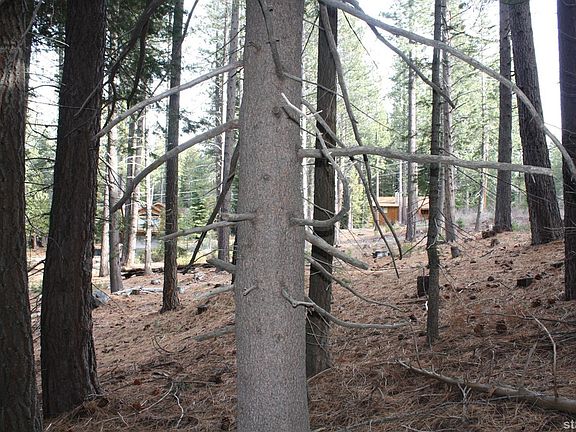 4th image of 1650 Iroquois Cir