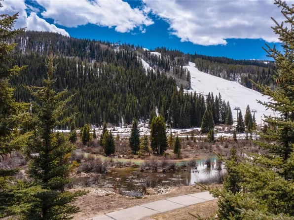 58 Hawk Circle #2342, Dillon, CO 80435