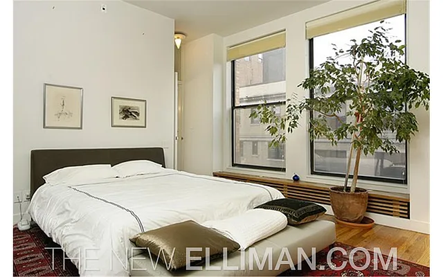Rented by Douglas Elliman | media 16