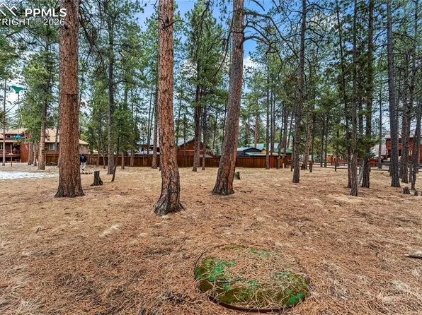 109 Flagstick Dr, Woodland Park, CO 80863