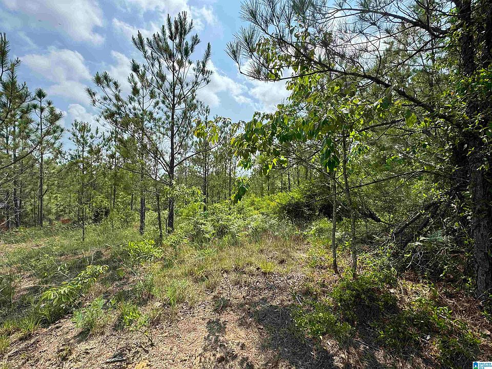 2nd image of 0 County Road 307 Lot 1