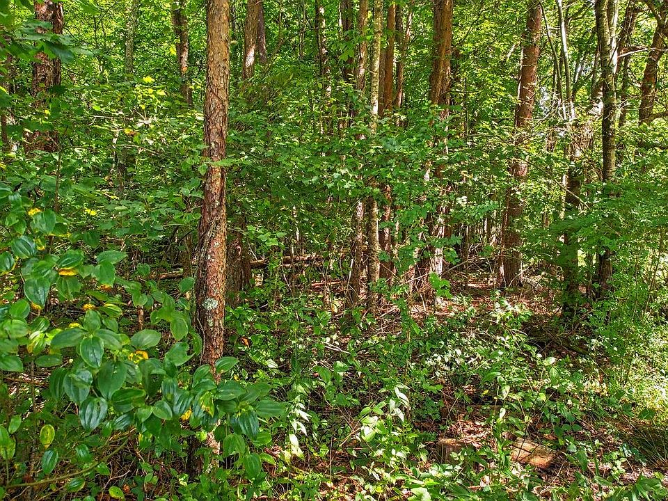 Tr1 Gumlog Road & Phillips, Young Harris, GA 30582 Zillow