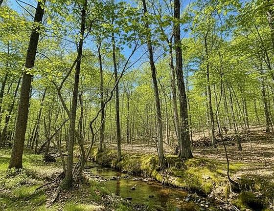 3rd image of 771 Timber Creek Trl