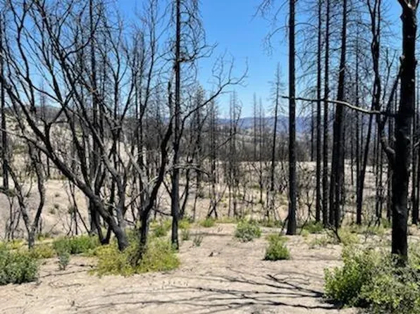 Indian Cemetery Rd, Berry Creek, CA 95916