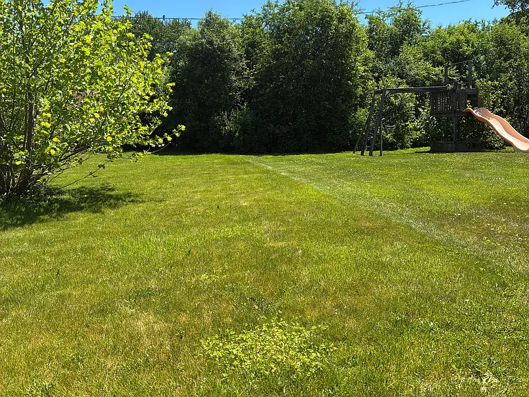 803 Willmor St — Photo 2