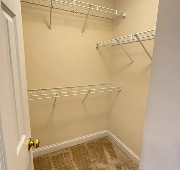223 Forest Green Dr — Photo 18