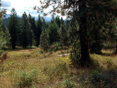 Lot 4 Dry Gulch, Colville, WA, 99114