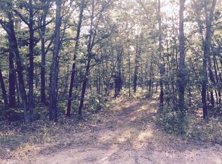Wilson Rd, Indian river, MI 49749