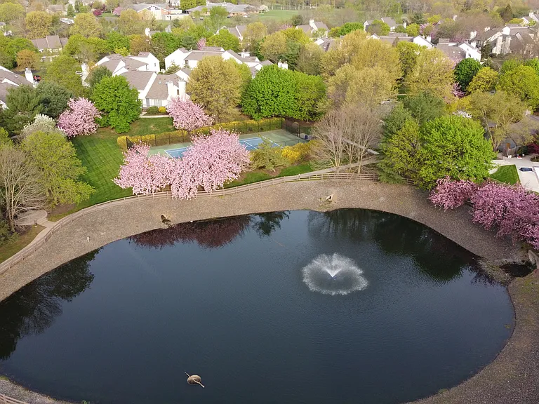 Sycamore Ct — Photo 31