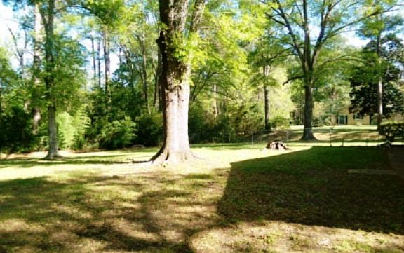 2nd image of 127 Meadowbrook Dr
