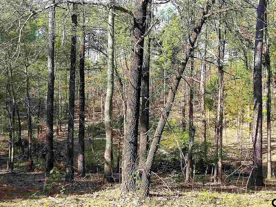 2nd image of LOT 9 Pintail Dr