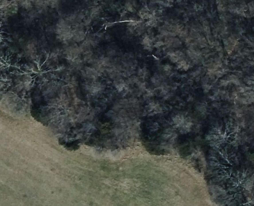 2nd image of 1 County Road 2005