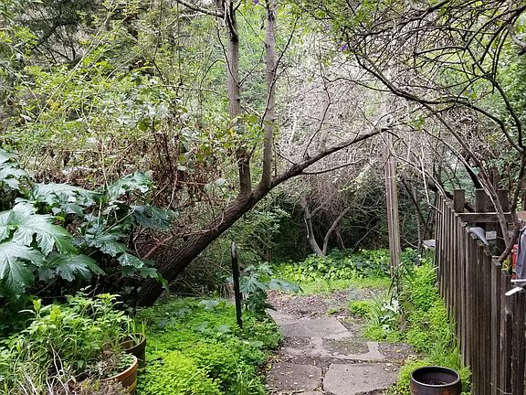 Wooded path leading to home