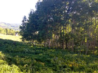 768 Co Rd 283-rabbit Ears Rd, Kremmling, CO 80459