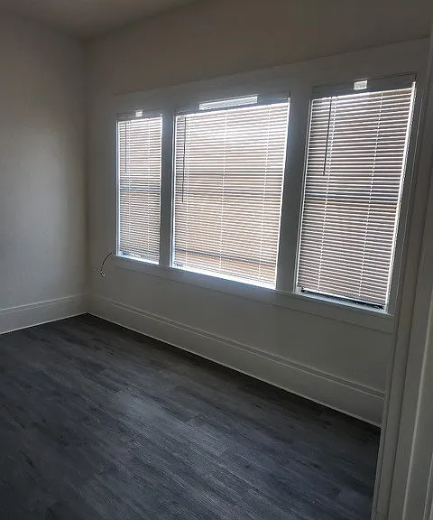 1512 Park St #6 — Photo 5