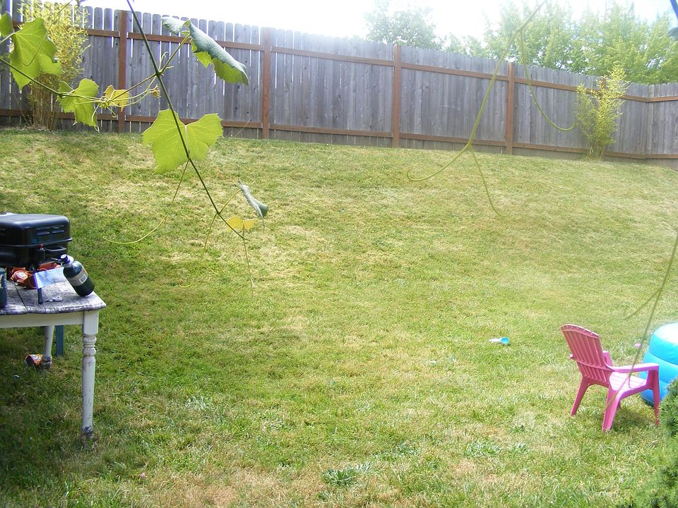 a quarter of the backyard