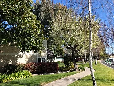 Live Oak Apartments — Photo 116