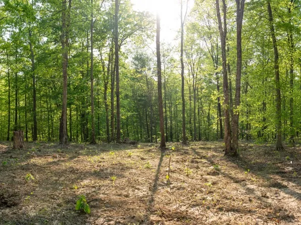 3 Pinewood Rd, Nunnelly, TN 37137