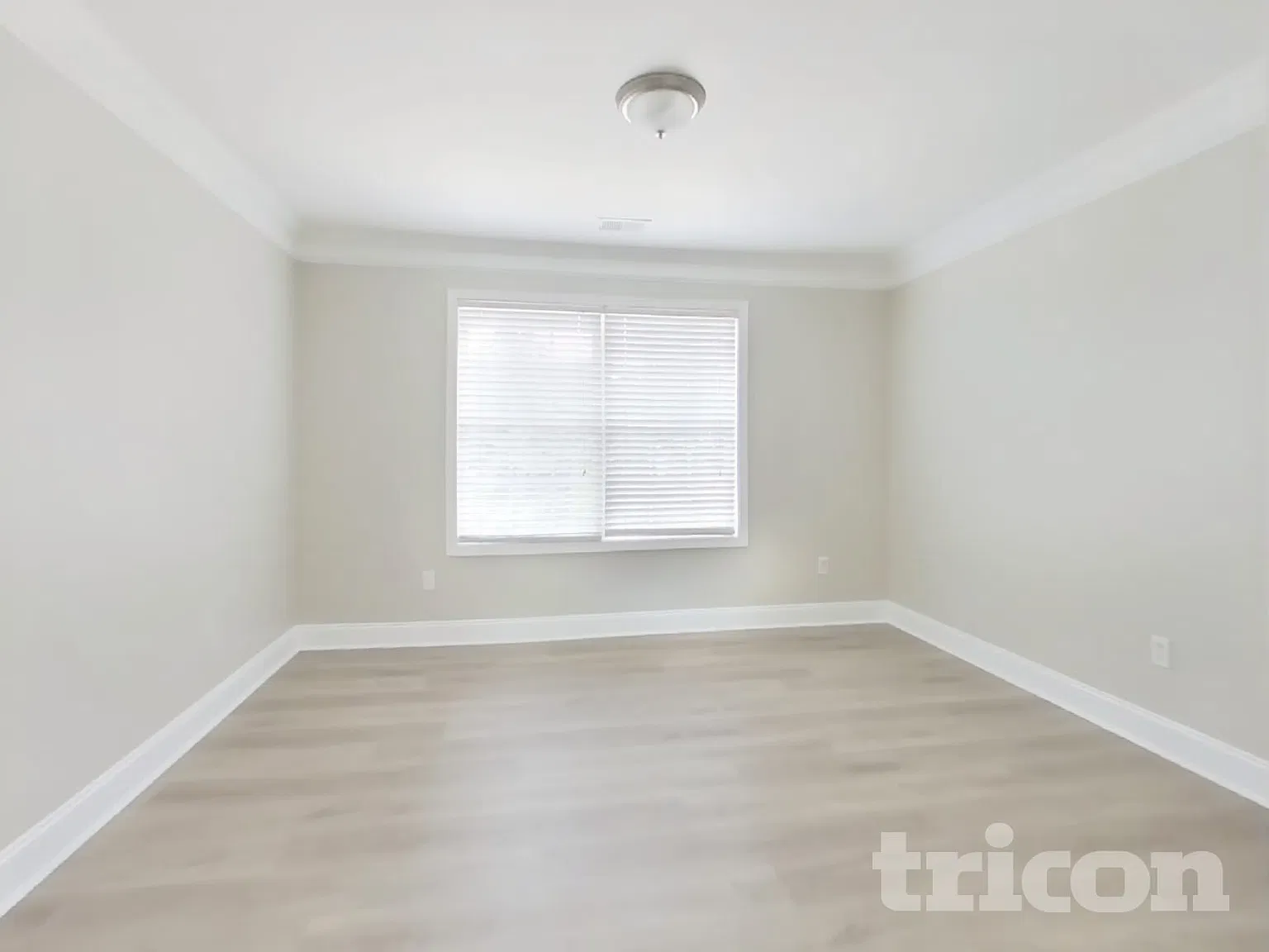 107 Hearthstone Walk Woodstock GA — Photo 4