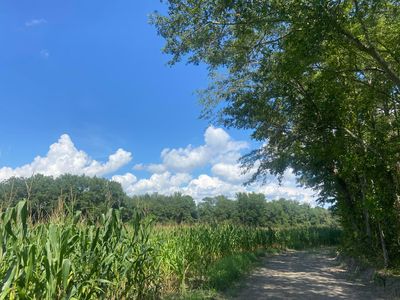 0 Muller Dr, Manning, SC, 29102