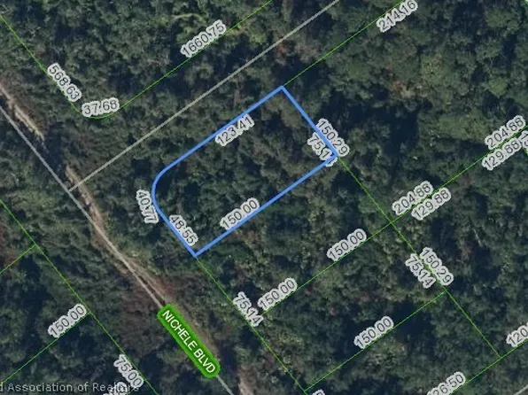 457 Nichele Blvd, Lake Placid, FL 33852