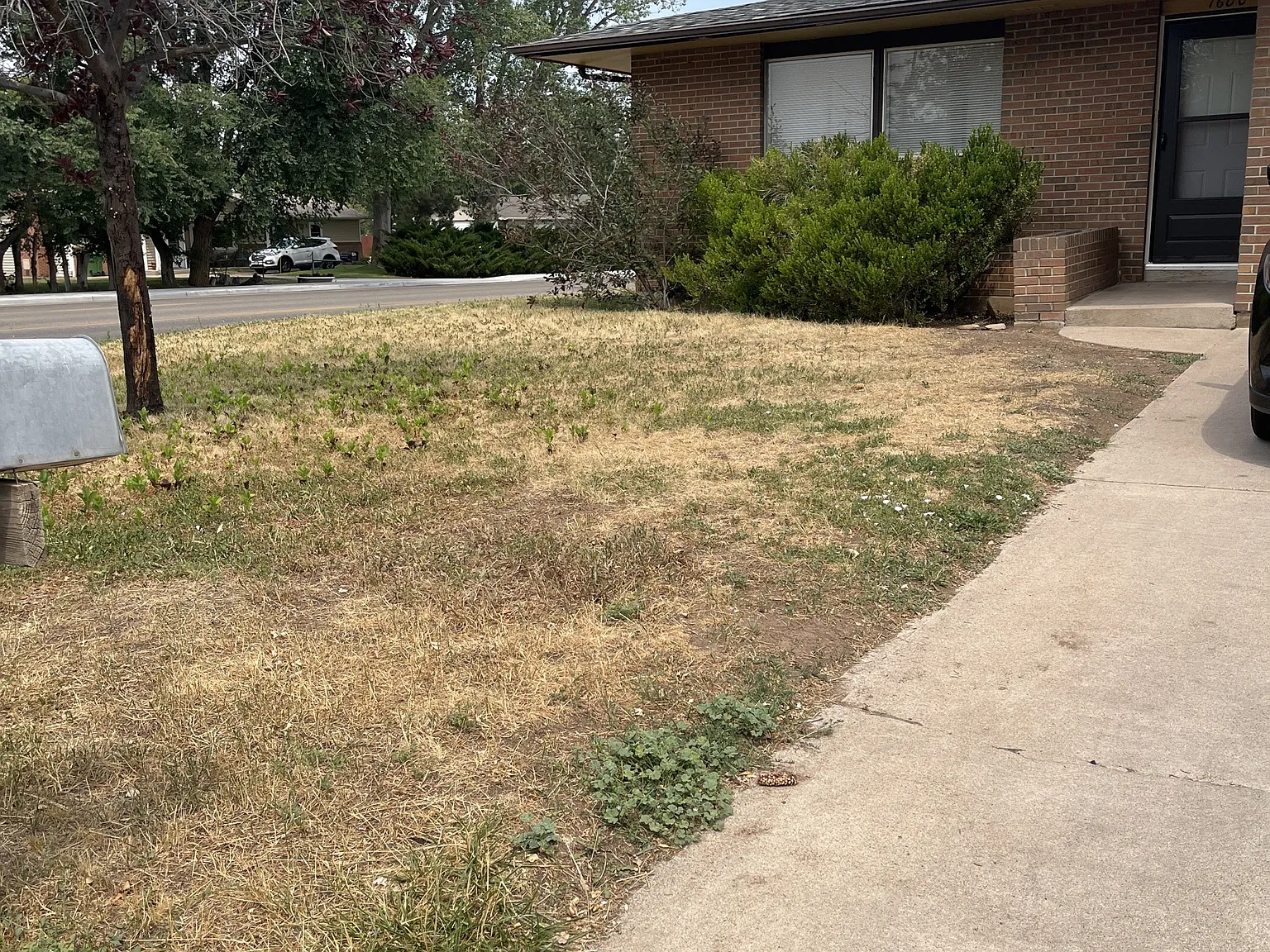 1600-1602 Azalea Dr - 1600 — Photo 2